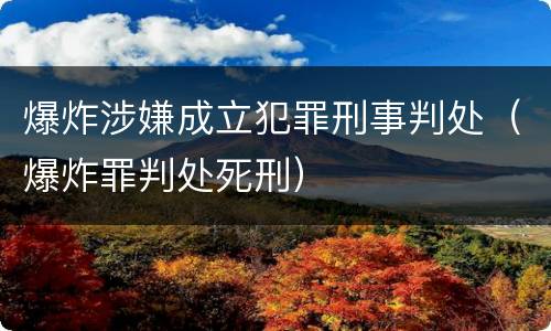 爆炸涉嫌成立犯罪刑事判处（爆炸罪判处死刑）