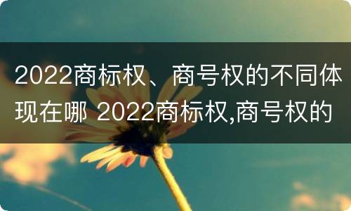 2022商标权、商号权的不同体现在哪 2022商标权,商号权的不同体现在哪些方面