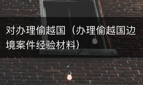 对办理偷越国（办理偷越国边境案件经验材料）