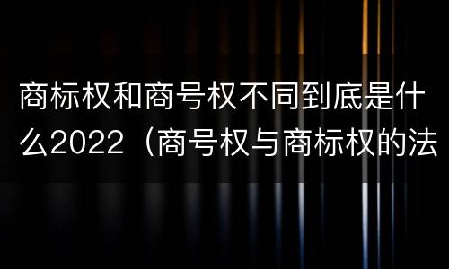 商标权和商号权不同到底是什么2022（商号权与商标权的法律冲突与解决）