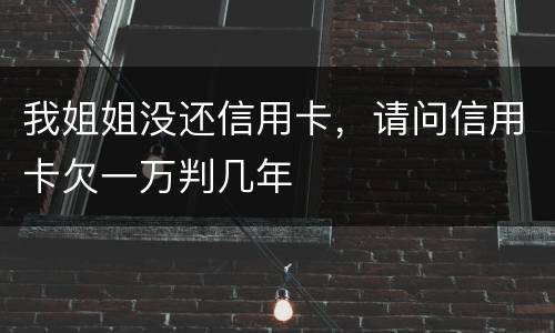 我姐姐没还信用卡，请问信用卡欠一万判几年