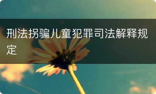 刑法拐骗儿童犯罪司法解释规定
