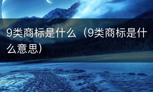 9类商标是什么（9类商标是什么意思）