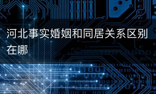 河北事实婚姻和同居关系区别在哪