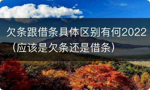 欠条跟借条具体区别有何2022（应该是欠条还是借条）