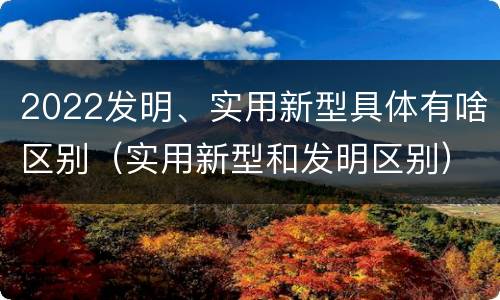 2022发明、实用新型具体有啥区别（实用新型和发明区别）