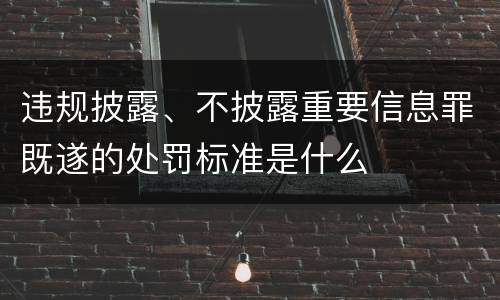 违规披露、不披露重要信息罪既遂的处罚标准是什么