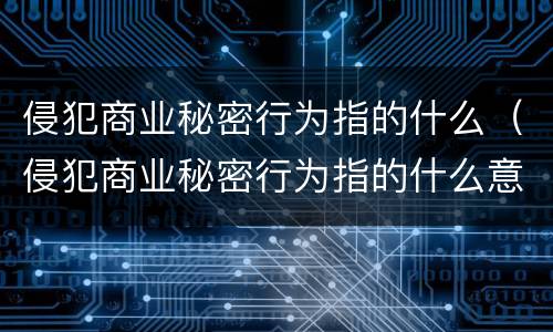 侵犯商业秘密行为指的什么（侵犯商业秘密行为指的什么意思）