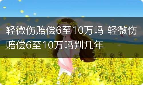 轻微伤赔偿6至10万吗 轻微伤赔偿6至10万吗判几年
