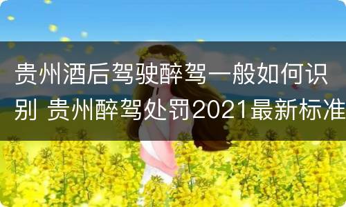 贵州酒后驾驶醉驾一般如何识别 贵州醉驾处罚2021最新标准