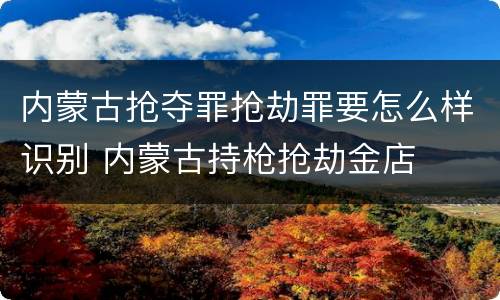 内蒙古抢夺罪抢劫罪要怎么样识别 内蒙古持枪抢劫金店