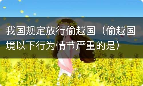 我国规定放行偷越国（偷越国境以下行为情节严重的是）