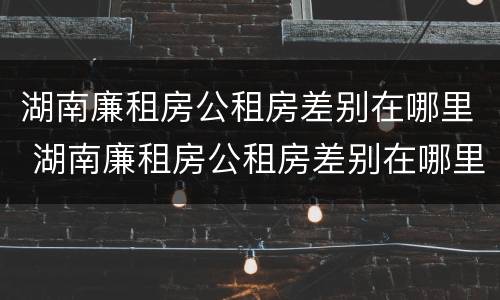 湖南廉租房公租房差别在哪里 湖南廉租房公租房差别在哪里啊
