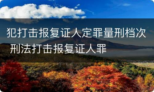 犯打击报复证人定罪量刑档次 刑法打击报复证人罪