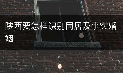陕西要怎样识别同居及事实婚姻