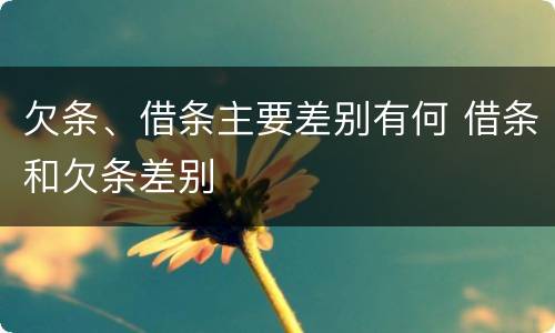 欠条、借条主要差别有何 借条和欠条差别