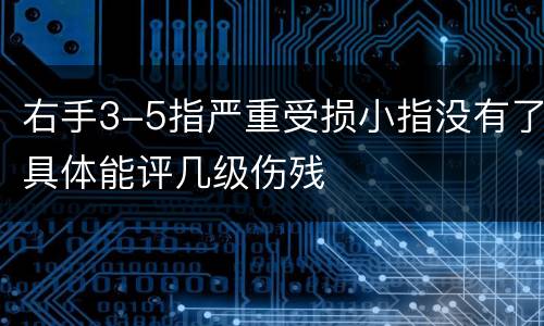 右手3-5指严重受损小指没有了具体能评几级伤残