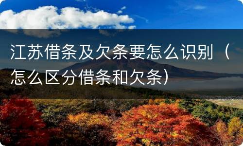 江苏借条及欠条要怎么识别（怎么区分借条和欠条）