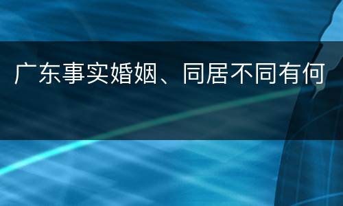 广东事实婚姻、同居不同有何