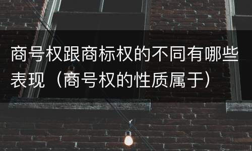 商号权跟商标权的不同有哪些表现（商号权的性质属于）