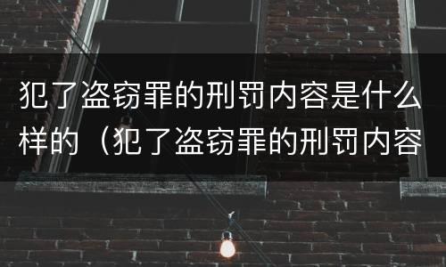 犯了盗窃罪的刑罚内容是什么样的（犯了盗窃罪的刑罚内容是什么样的呢）
