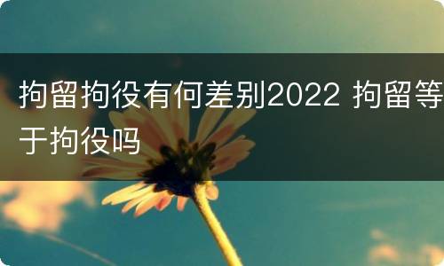拘留拘役有何差别2022 拘留等于拘役吗