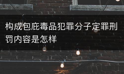 构成包庇毒品犯罪分子定罪刑罚内容是怎样