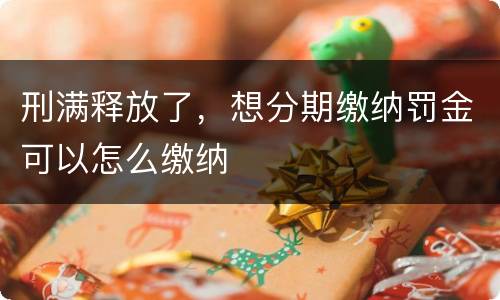 刑满释放了，想分期缴纳罚金可以怎么缴纳