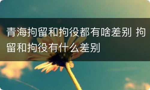 青海拘留和拘役都有啥差别 拘留和拘役有什么差别