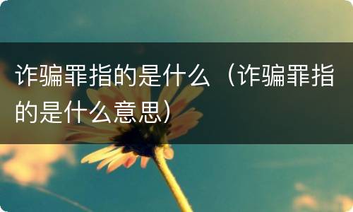 诈骗罪指的是什么（诈骗罪指的是什么意思）