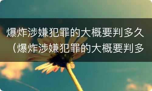 爆炸涉嫌犯罪的大概要判多久（爆炸涉嫌犯罪的大概要判多久缓刑）