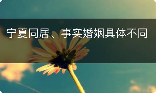 宁夏同居、事实婚姻具体不同