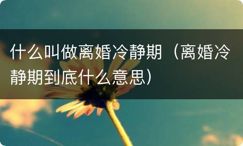 什么叫做离婚冷静期（离婚冷静期到底什么意思）