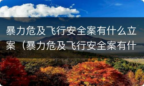 暴力危及飞行安全案有什么立案（暴力危及飞行安全案有什么立案标准）