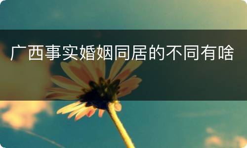 广西事实婚姻同居的不同有啥