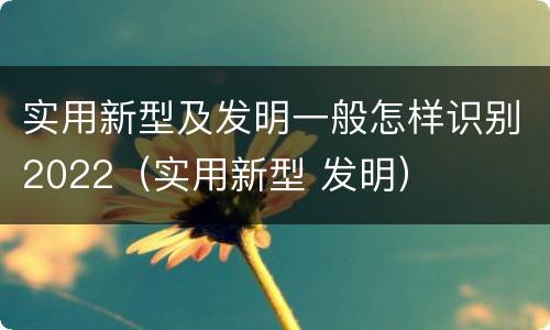 实用新型及发明一般怎样识别2022（实用新型 发明）