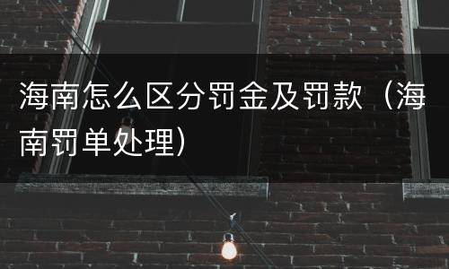 海南怎么区分罚金及罚款（海南罚单处理）