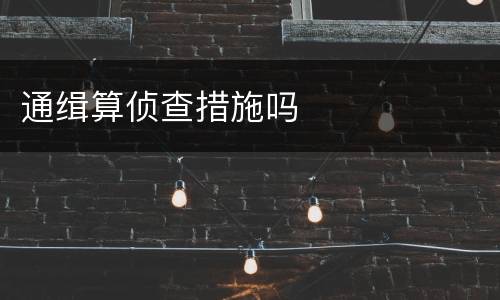 通缉算侦查措施吗