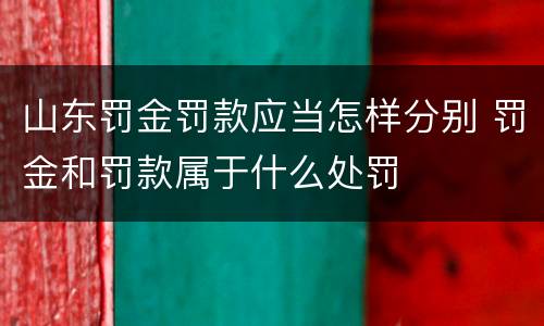山东罚金罚款应当怎样分别 罚金和罚款属于什么处罚