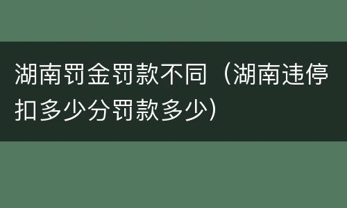 湖南罚金罚款不同（湖南违停扣多少分罚款多少）