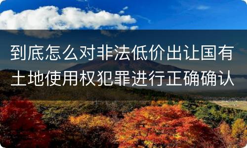 到底怎么对非法低价出让国有土地使用权犯罪进行正确确认
