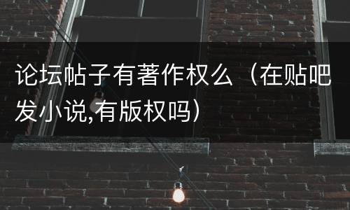 论坛帖子有著作权么（在贴吧发小说,有版权吗）