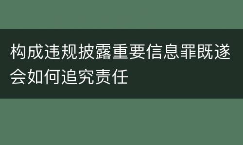 构成违规披露重要信息罪既遂会如何追究责任