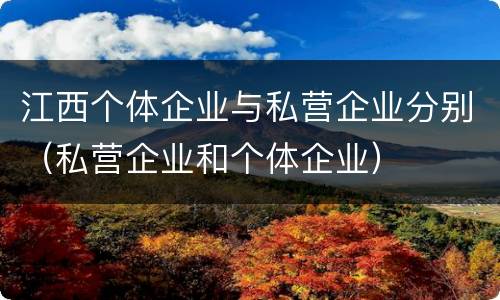 江西个体企业与私营企业分别（私营企业和个体企业）