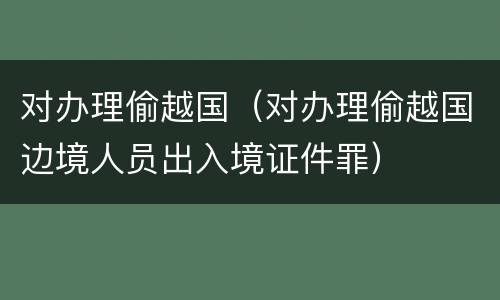 对办理偷越国（对办理偷越国边境人员出入境证件罪）