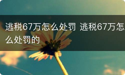 逃税67万怎么处罚 逃税67万怎么处罚的