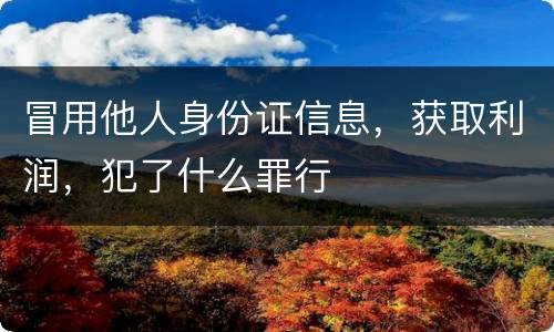冒用他人身份证信息，获取利润，犯了什么罪行