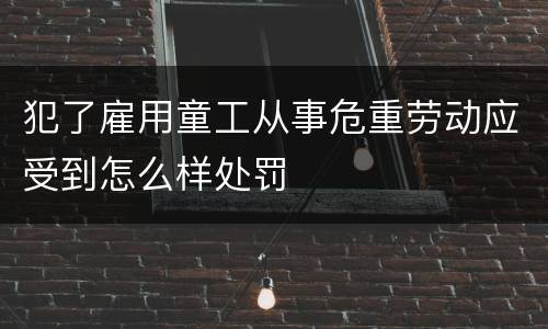 犯了雇用童工从事危重劳动应受到怎么样处罚