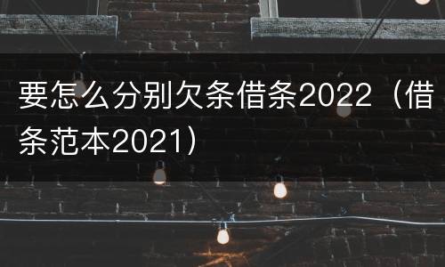要怎么分别欠条借条2022（借条范本2021）
