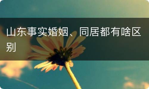 山东事实婚姻、同居都有啥区别